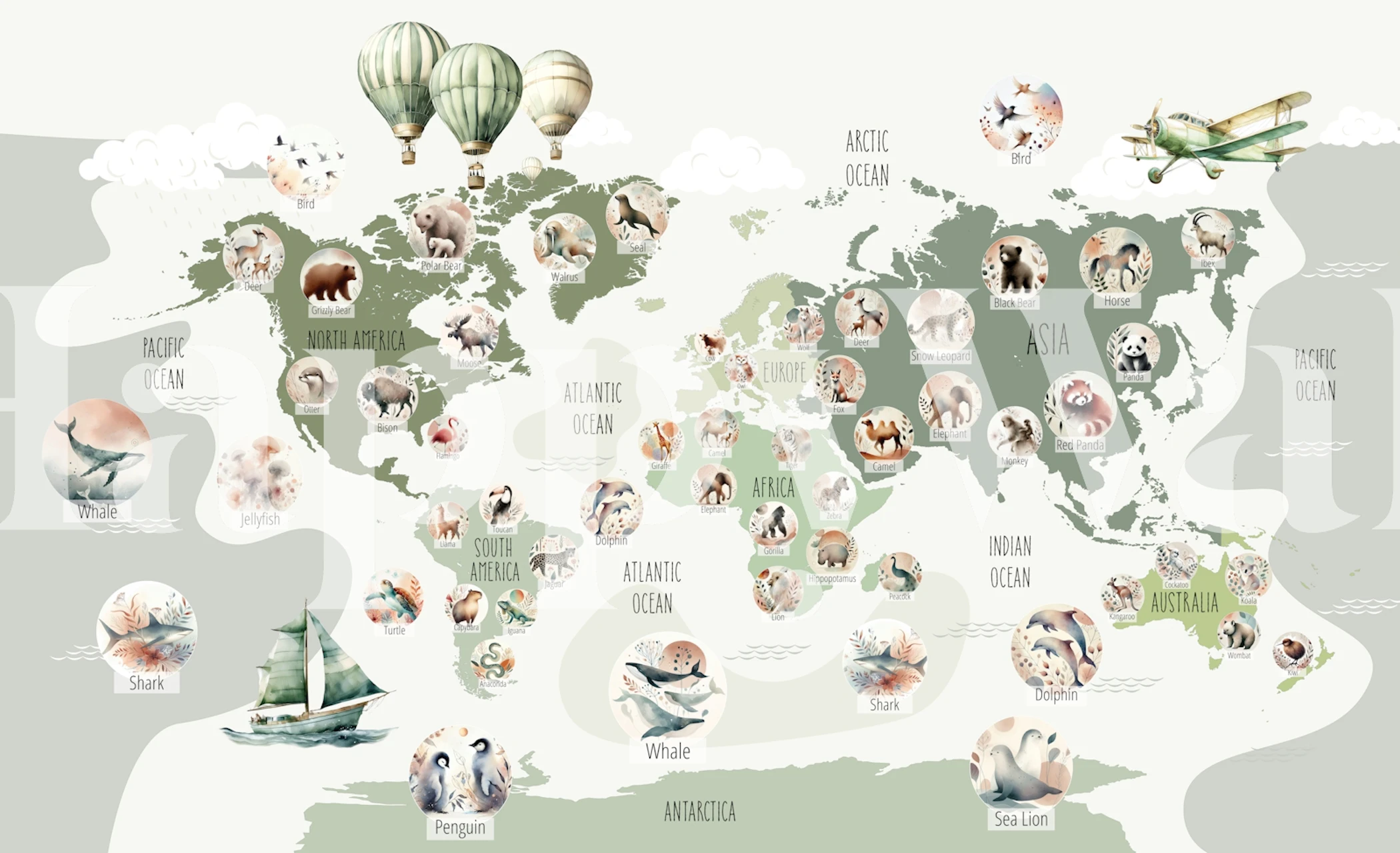 Tapeta Green Wildlife Map w pokoju