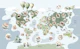 Adventure Wildlife Map