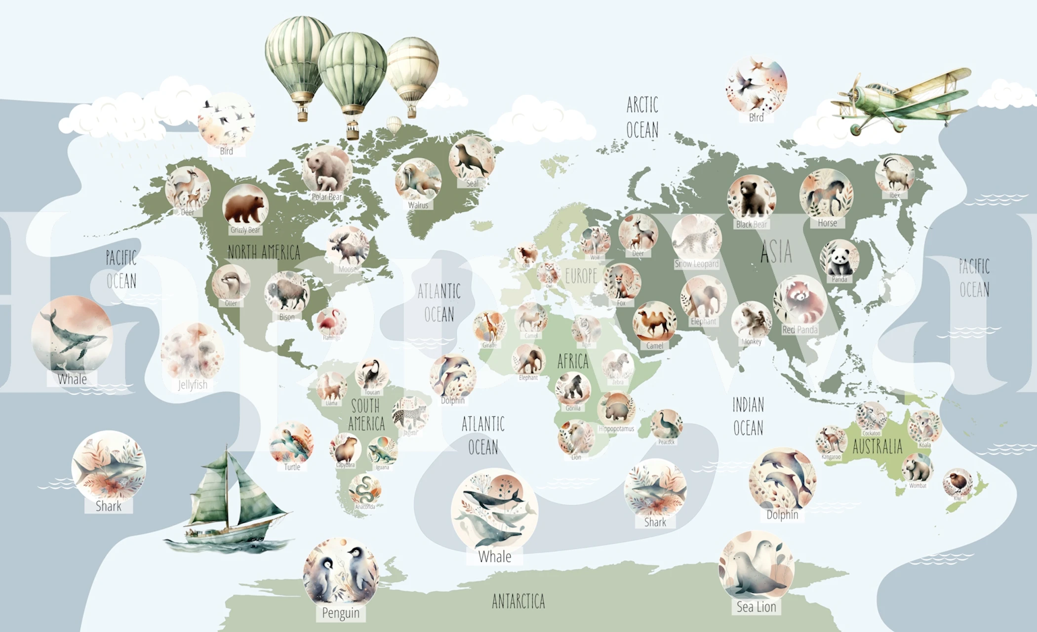 Adventure wildlife map wallpaper in a room