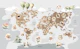 Global Wildlife Adventure