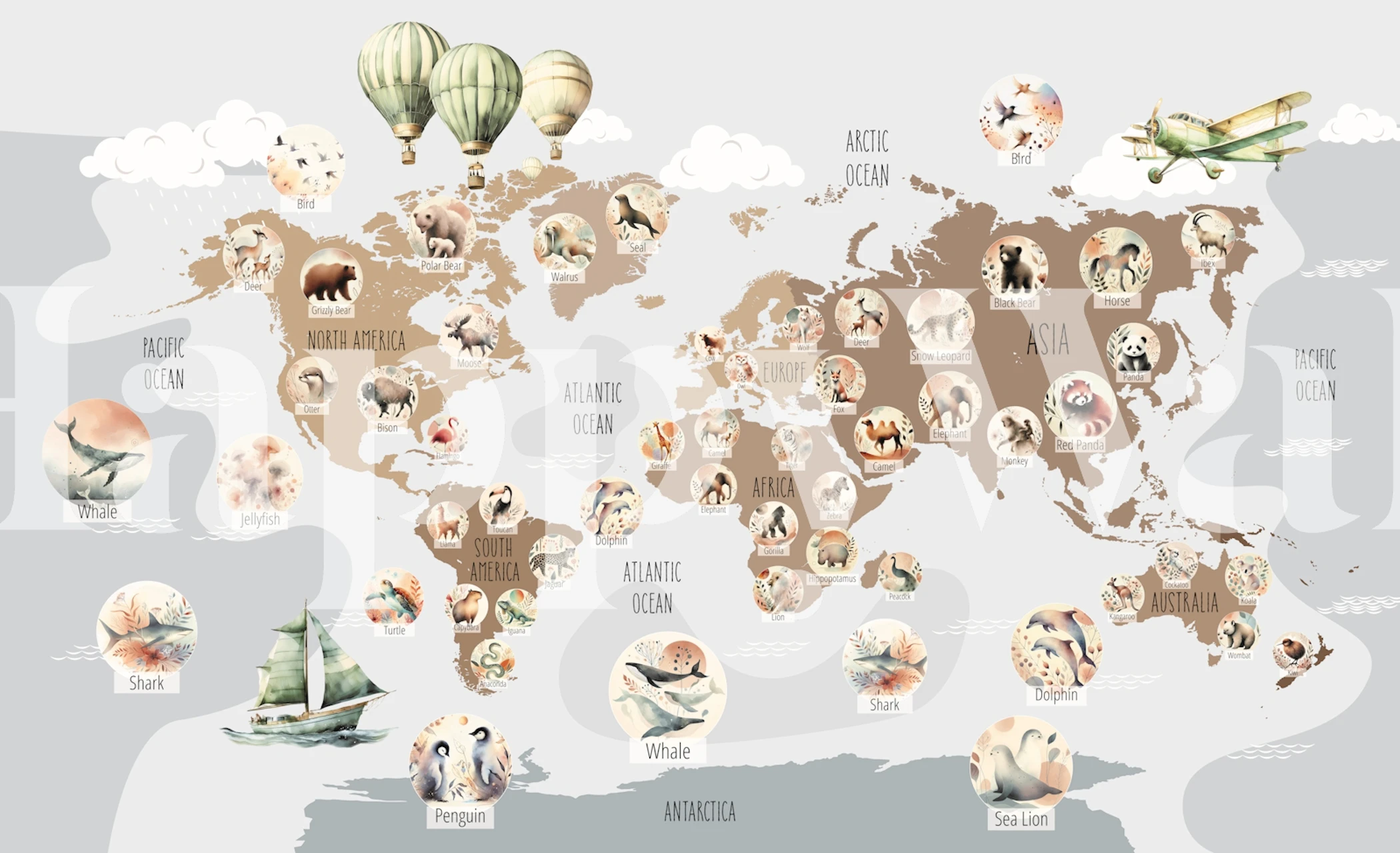 Global Wildlife Adventure tapet i et rom