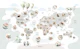 Wildlife Globe Explorer