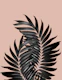 Palm Leaves Pale Terracotta 1