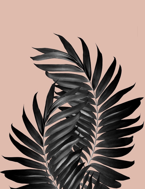 Palm Leaves Pale Terracotta 1