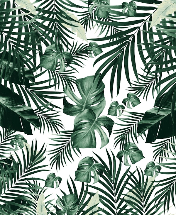 Tropical Jungle Leaves 4a