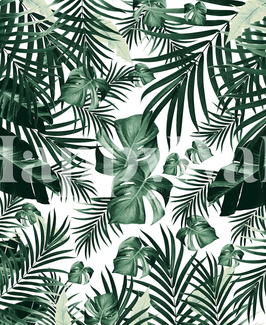 Tropical Jungle Leaves Wall Mural vibrant green leaf patterns on a white background