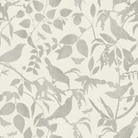 Serenade Of Shadows Japandi Birds Beige behang
