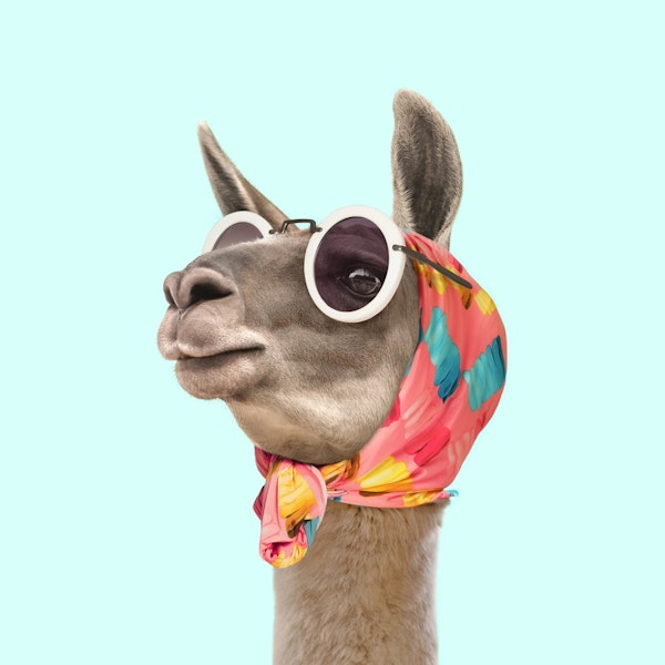 Fashion Llama