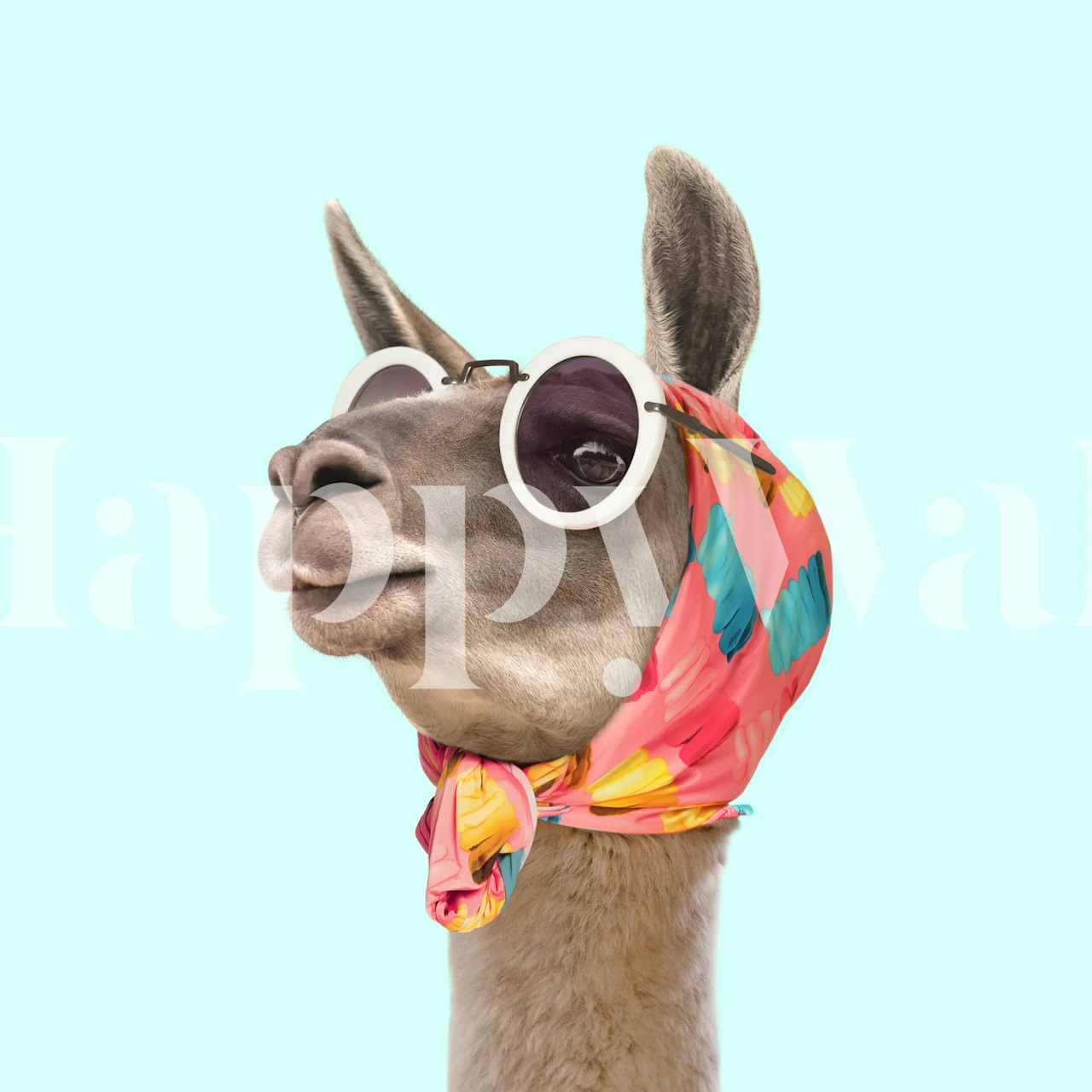 Lama met zonnebril en kleurrijke sjaal op een pastel achtergrond wallpaper