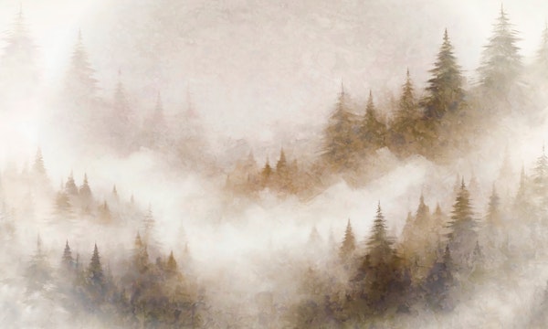 Foggy Forest Serenity