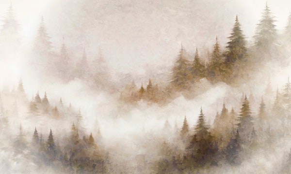 Foggy Forest Serenity