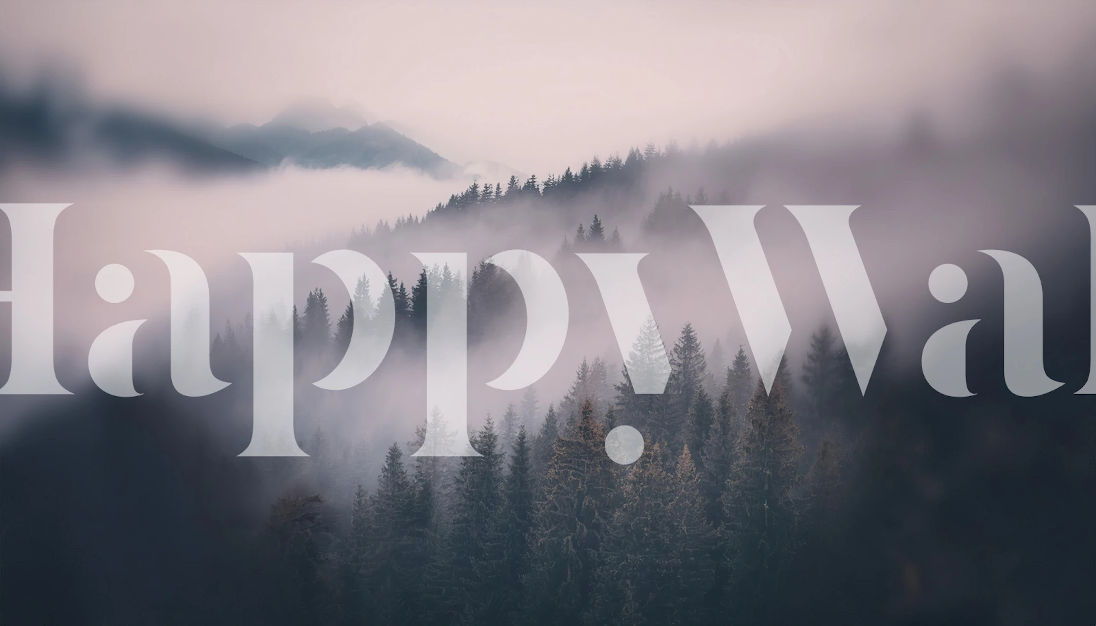 Tapeta Misty woodland w pokoju