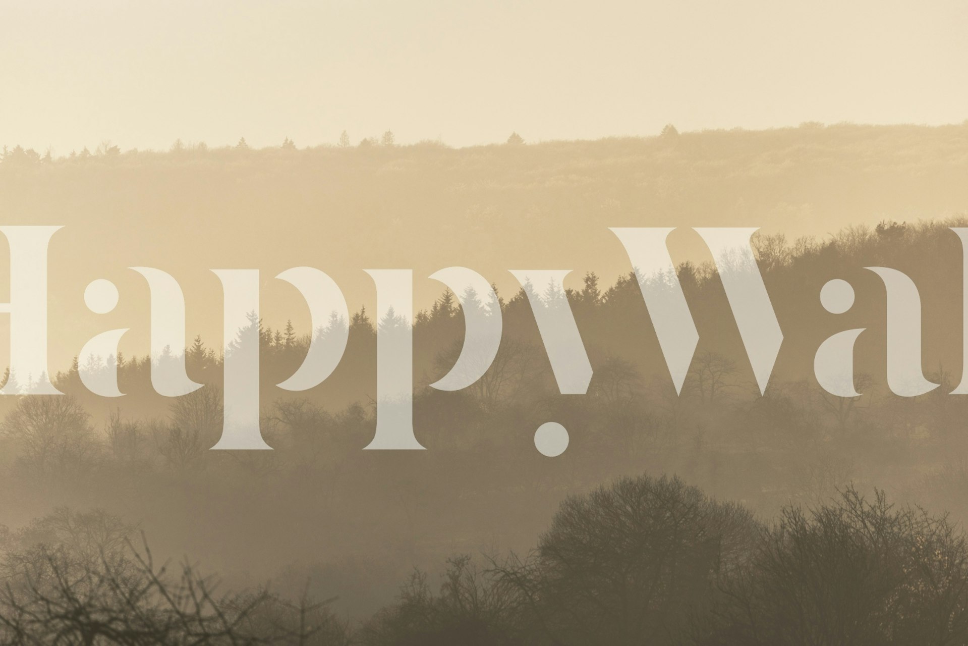 Soft earthy gradient patterns with trees silhouette wallpaper