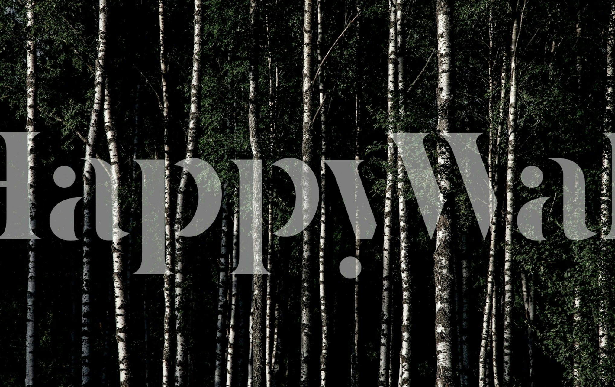 Birkenbaumtapete in einem schwach beleuchteten Raum