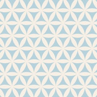 Flower of Life - Sacred Geometry 02 WM carta da parati