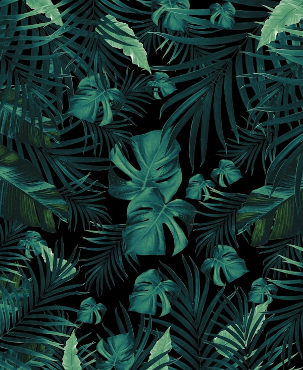 Tropical Jungle Night Leaves 1a