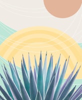 Agave in the Desert Oasis 3 tapetit