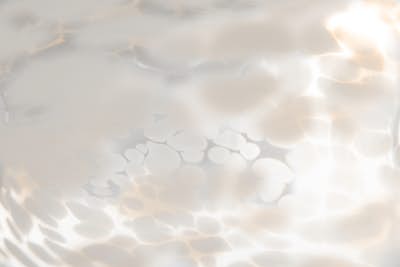 Τοιχογραφία