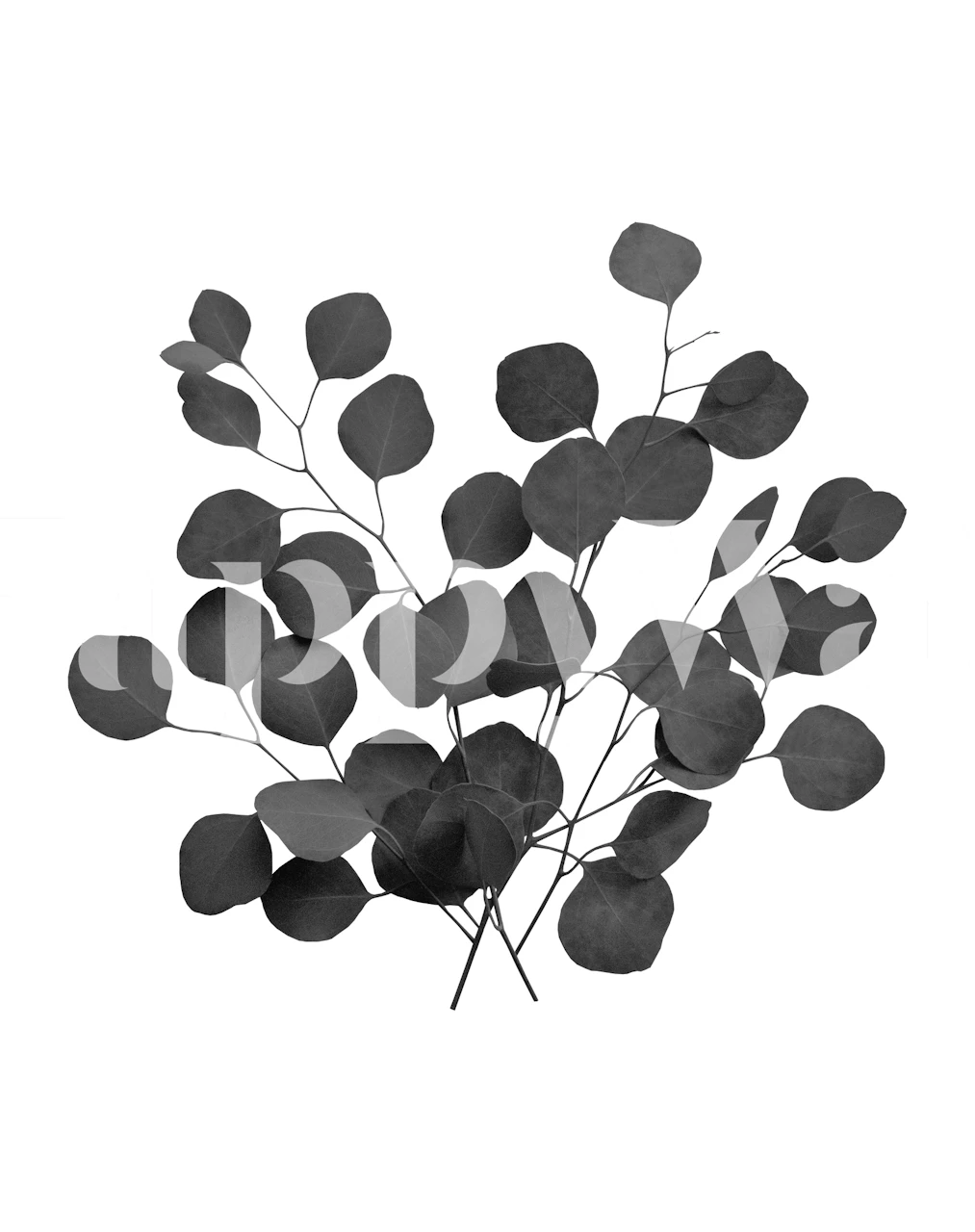 Eucalyptus Finesse 3 Tapete in einem Raum-Setting