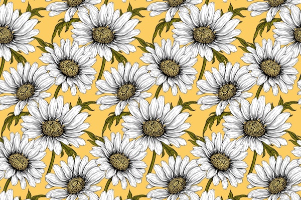 Daisies on yellow