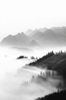 Morning Sun BW tapete