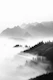 Morning Sun BW