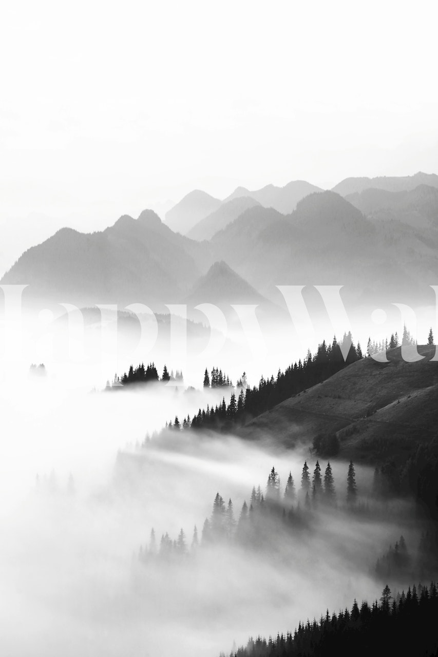 Black and white mountain landscape photography wallpaper
