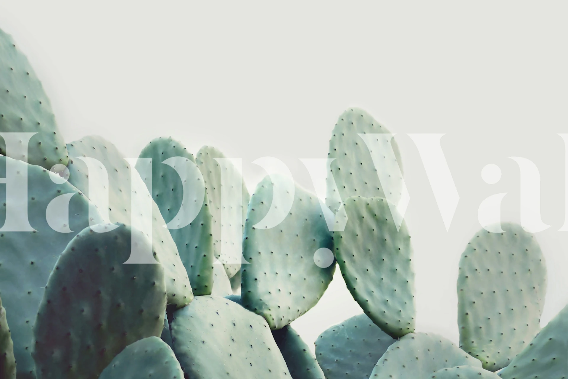 Pastel opuntia wallpaper in a room