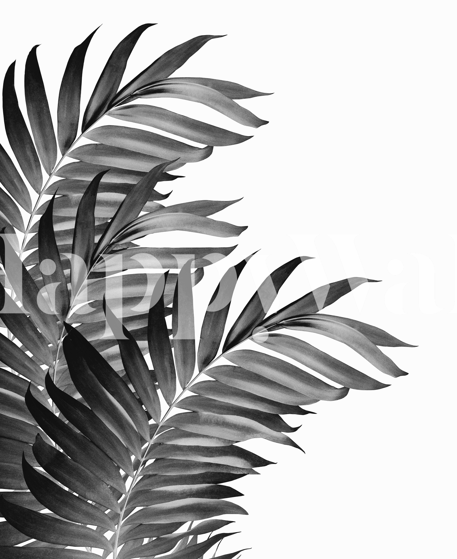 Palm Leaves Tropical Black 1 Wallpaper - Happywall