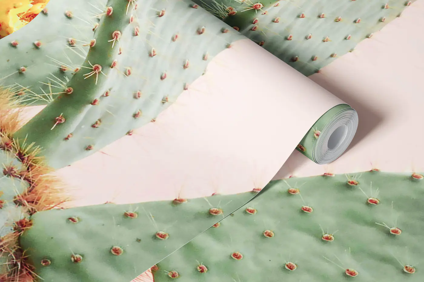 Blooming Cactus wallpaper roll