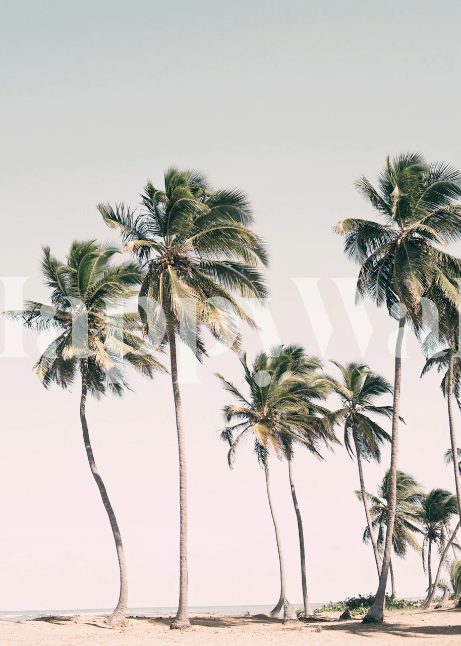 Island Palms wallpaper in a room setting