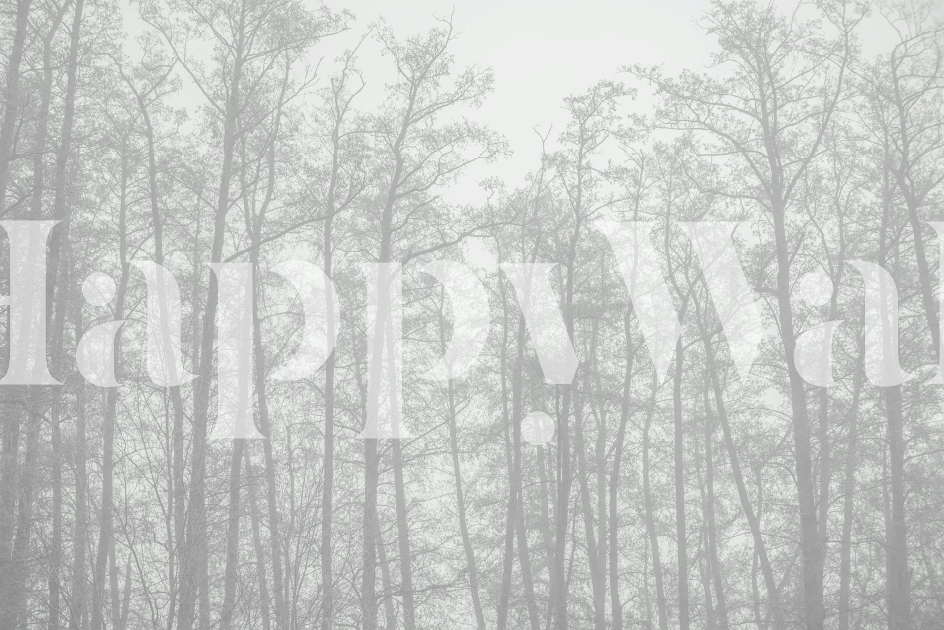 Foggy tree silhouettes in soft gray wallpaper