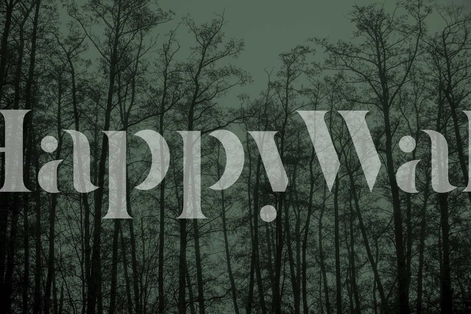 Ethereal Fog Trees 2 behang in een kamer