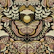 Bohemian Butterflies Flowers Cats 06 WM