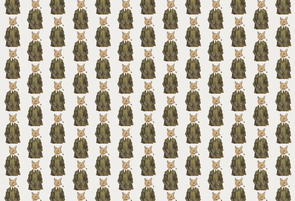 The Fox Pattern