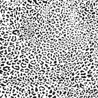 Leopard Print Black and White WM ταπετσαρία