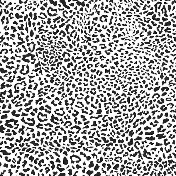Leopard Print Black and White WM