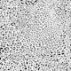 Leopard Print Black and White WP