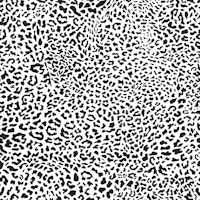Leopard Print Black and White WP papel de parede