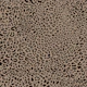 Leopard Print Classic WM