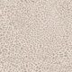 Leopard Print Neutral WM