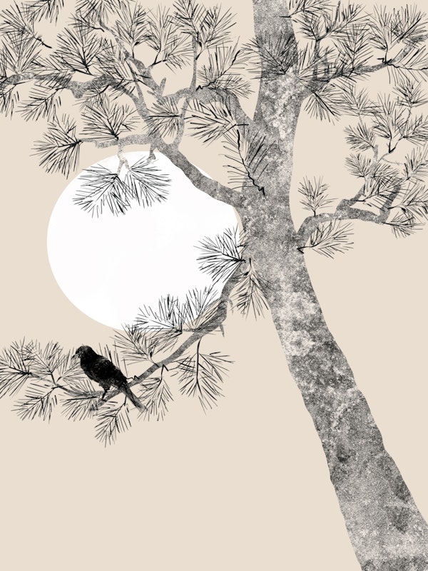 Moonlit Pine Elegance