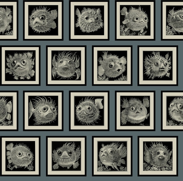 Impossible Pufferfish - Fog