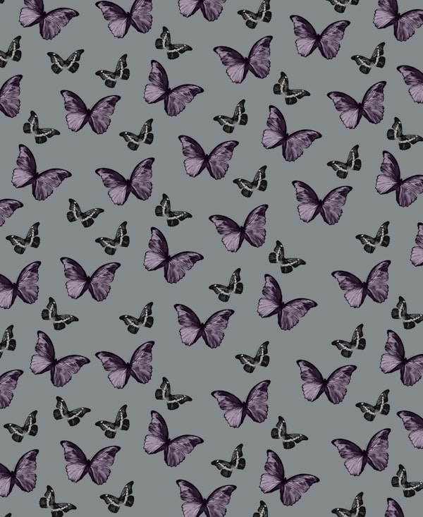 Gray Lavender Butterfly 1