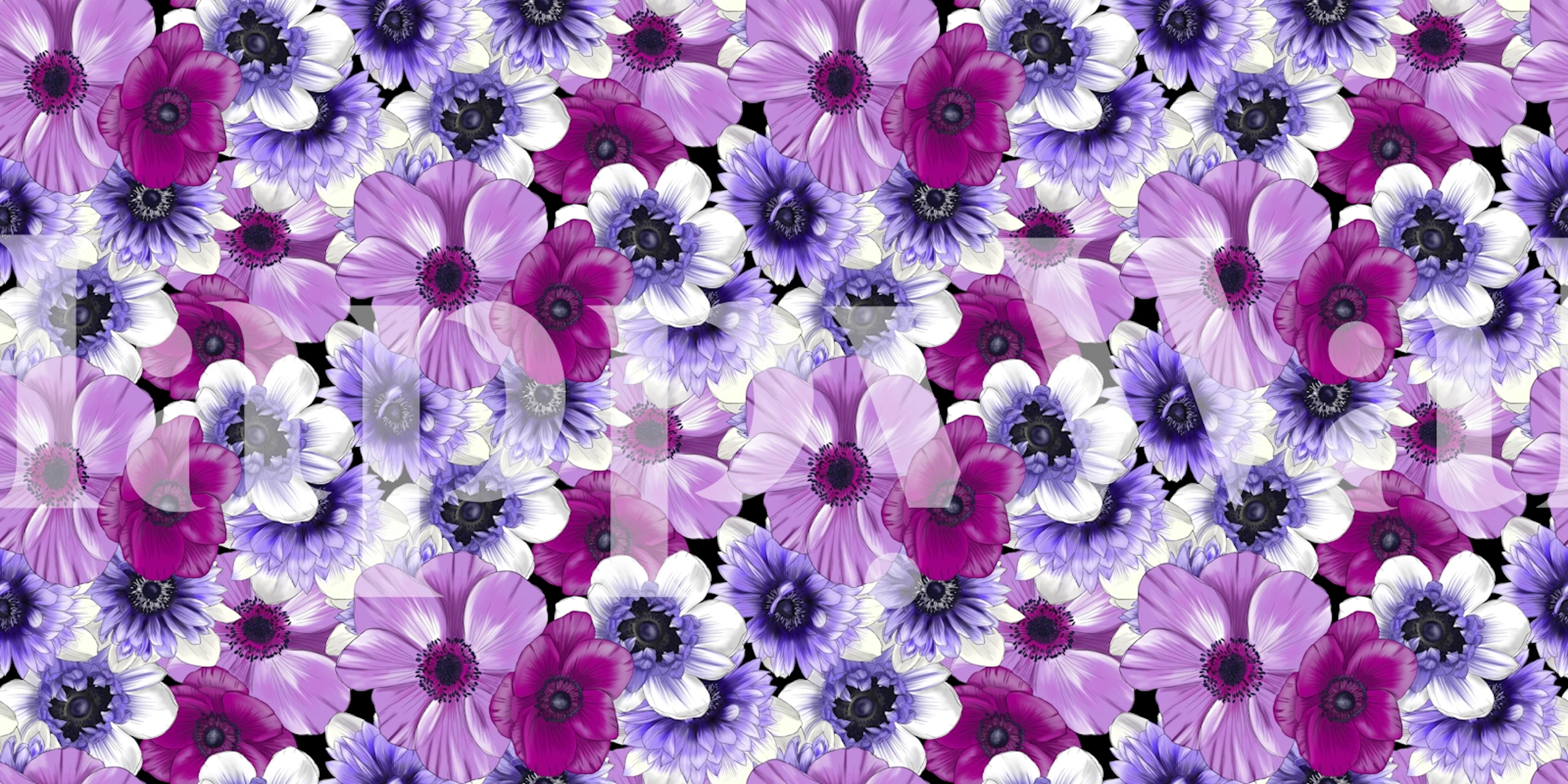 Anemone Blooms floral wallpaper in a room