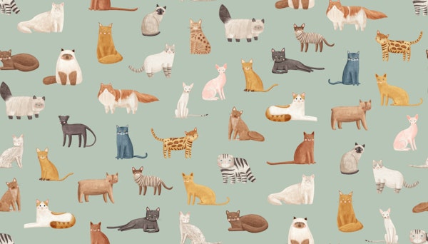 Charming Cats in Mint
