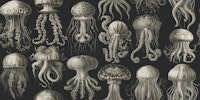 Elaborate Jellyfish - Cream and Slate tapete