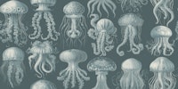 Elaborate Jellyfish - Teal and Cream ταπετσαρία