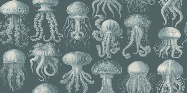 Elaborate Jellyfish - Teal and Cream