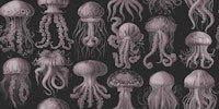 Elaborate Jellyfish - Mauve & Slate ταπετσαρία
